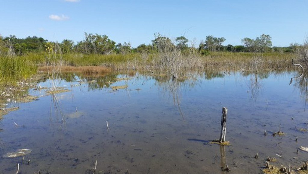 Especialistas piden cuidar el agua en José María Morelos Especialistas piden cuidar el agua en José María Morelos