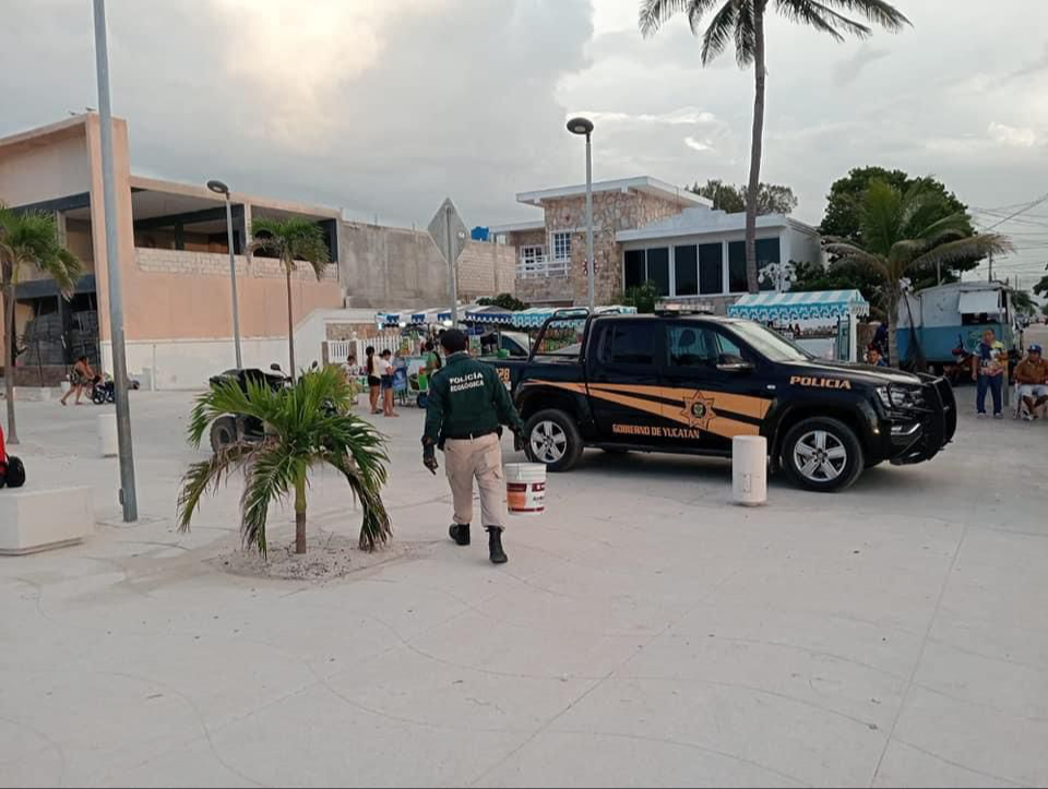 La Policía Ecológica rescató a las tortugas marinas La Policía Ecológica rescató a las tortugas marinas