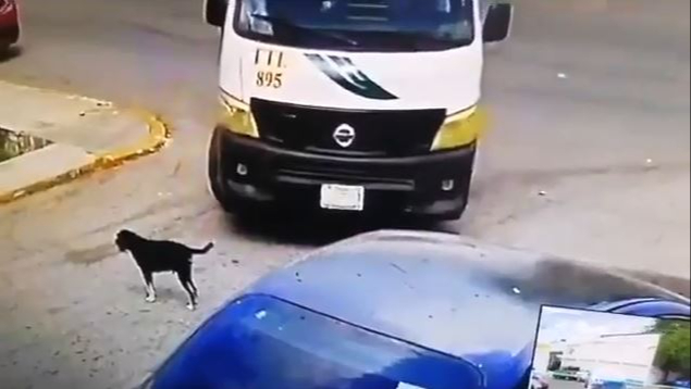 Lo ocurrido quedó captado en video Lo ocurrido quedó captado en video