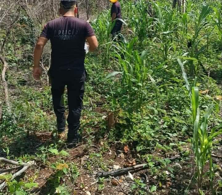 Pobladores se unieron a los recorridos que hacían policías municipales, hasta que dieron con el cuerpo de Pedro Pobladores se unieron a los recorridos que hacían policías municipales, hasta que dieron con el cuerpo de Pedro