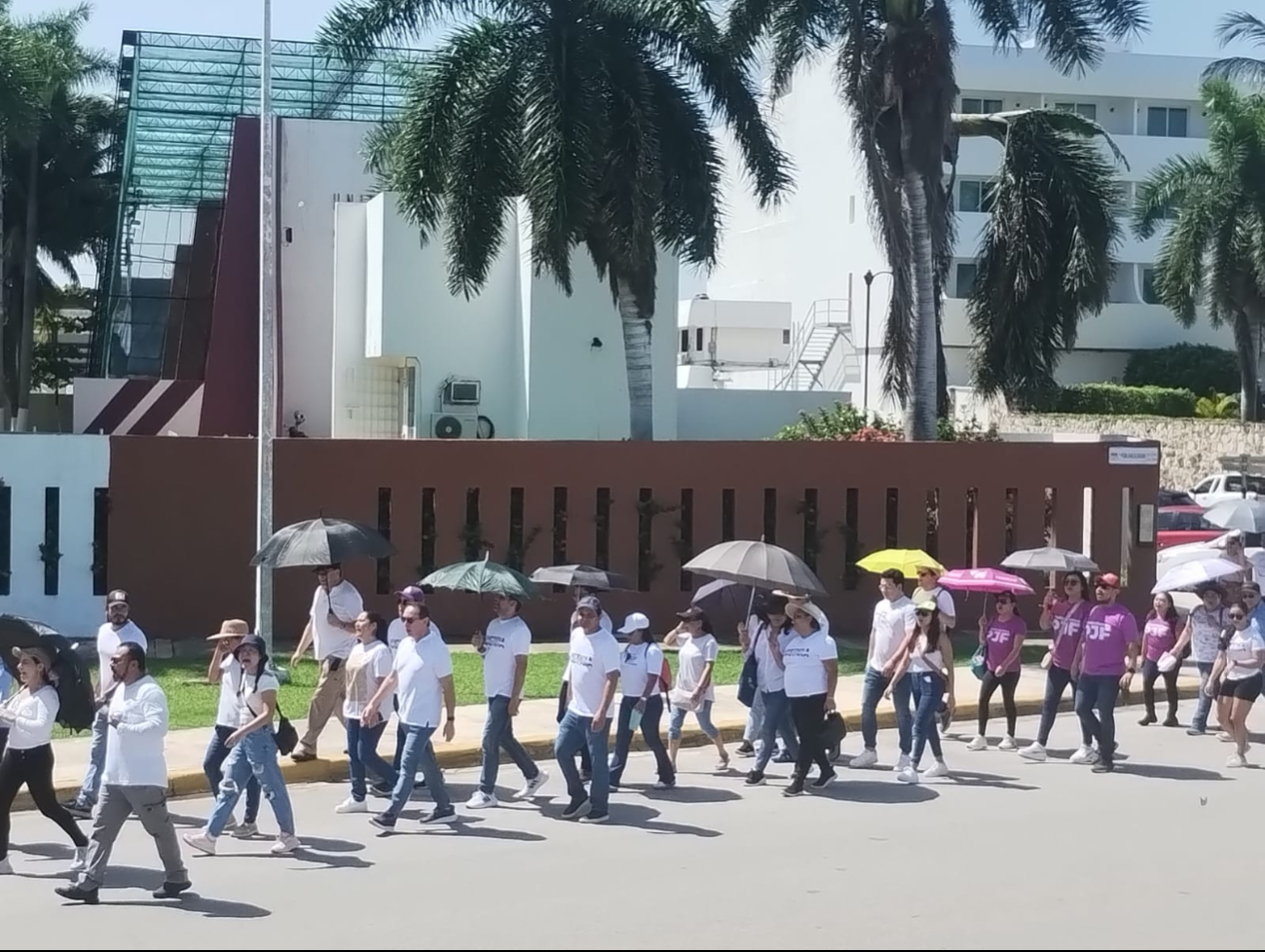 PRI Campeche confía que aliados en el senado rechazarán Reforma judicial