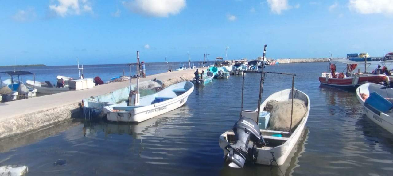 Economía de pescadores se ve afectada por la escasez de langosta y pulpo Economía de pescadores se ve afectada por la escasez de langosta y pulpo