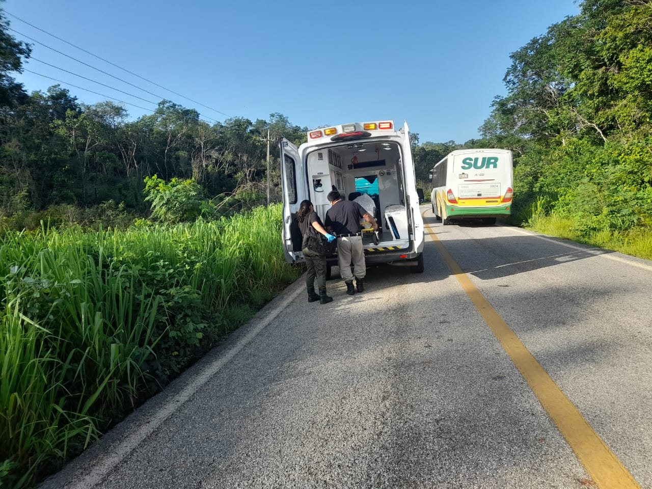 El conductor fue auxiliado y trasladado al hospital del IMSS-Bienestar en Hopelchén. El conductor fue auxiliado y trasladado al hospital del IMSS-Bienestar en Hopelchén.