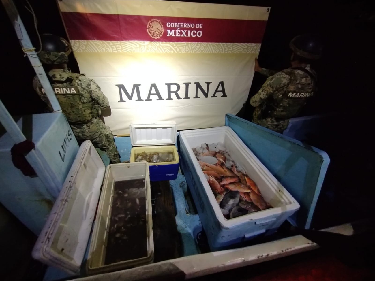 La pesca furtiva afecta a los ecosistemas marinos de la isla La pesca furtiva afecta a los ecosistemas marinos de la isla