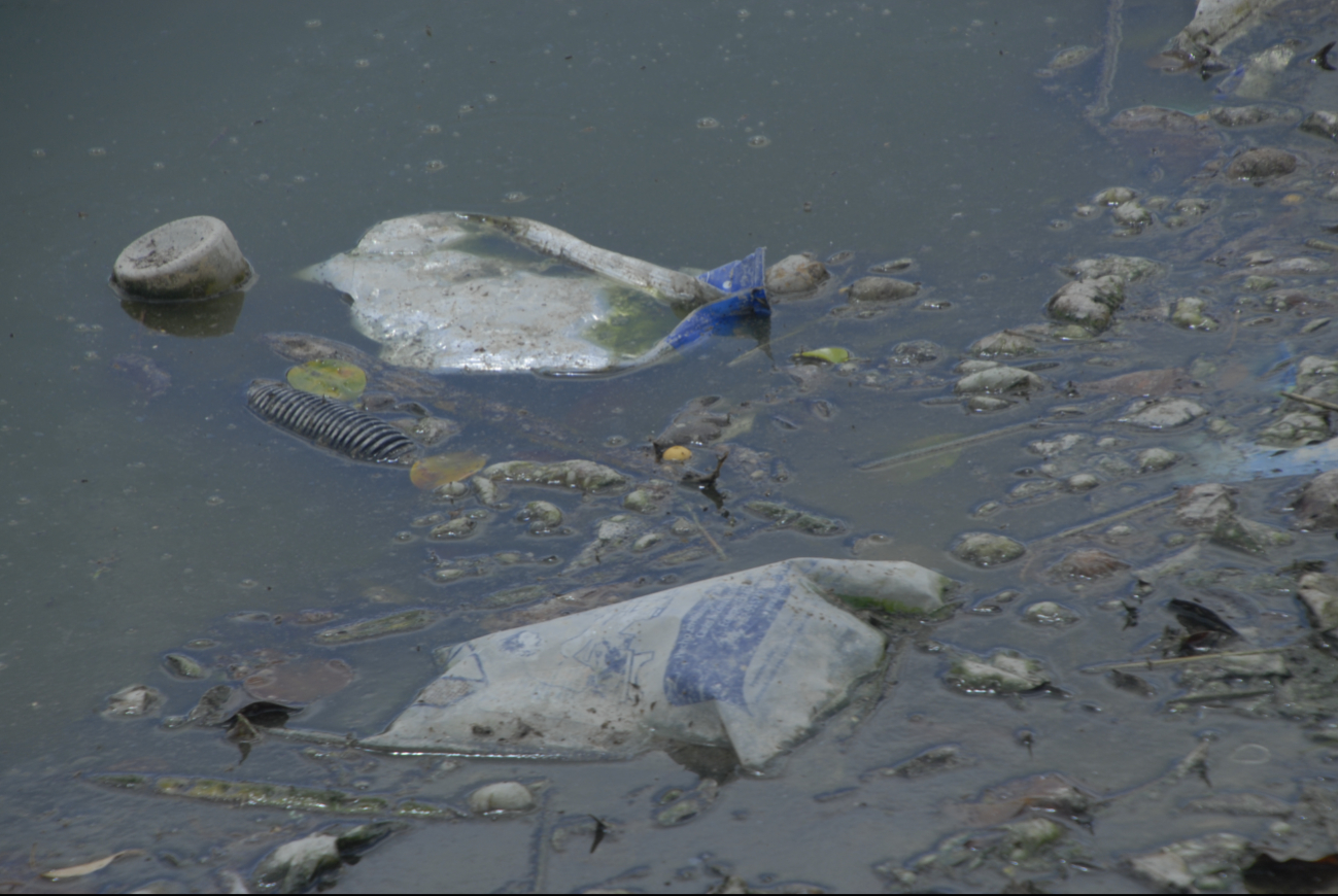 Se exhorta a evitar dejar agua estancada por mucho tiempo, mantener un entorno limpio y libre de criaderos de mosquitos Se exhorta a evitar dejar agua estancada por mucho tiempo, mantener un entorno limpio y libre de criaderos de mosquitos