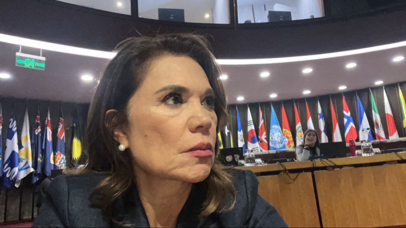 Blanca Alcalá, diputada de 62 años Blanca Alcalá, diputada de 62 años