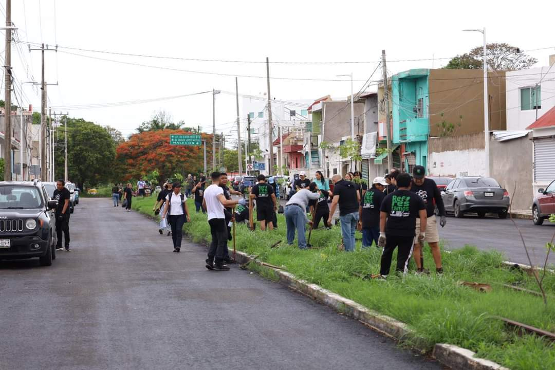 Reubicarán plantas de la Avenida Colosio en Campeche por obras del Tren Ligero