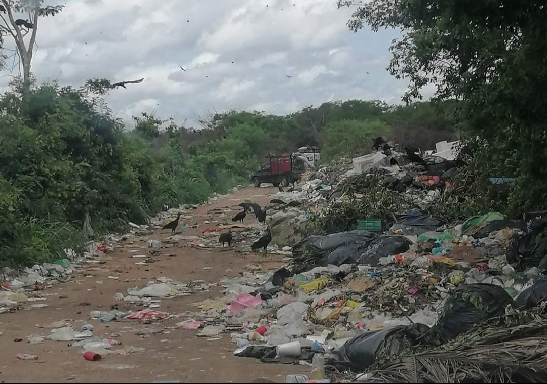 La basura se ha acumulado a lo largo de la entrada al basurero La basura se ha acumulado a lo largo de la entrada al basurero