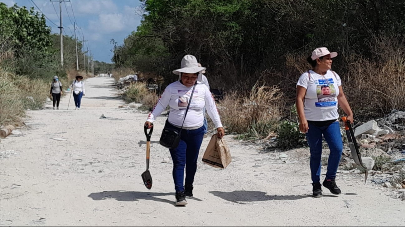 En la Zona Maya, hasta ahora, los operativos no han tenido resultados positivos En la Zona Maya, hasta ahora, los operativos no han tenido resultados positivos