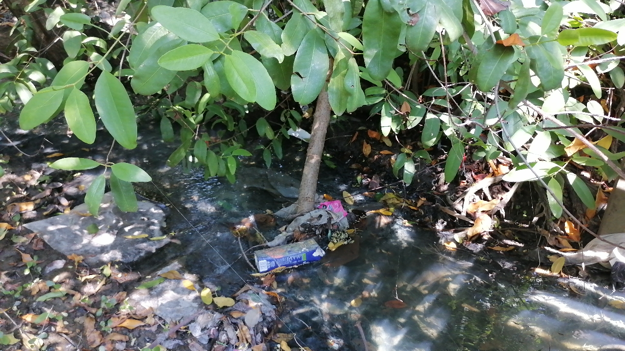 Las cooperativas enfrentan dificultades debido a la falta de cooperación ciudadana y la alta cantidad de basura. Las cooperativas enfrentan dificultades debido a la falta de cooperación ciudadana y la alta cantidad de basura.