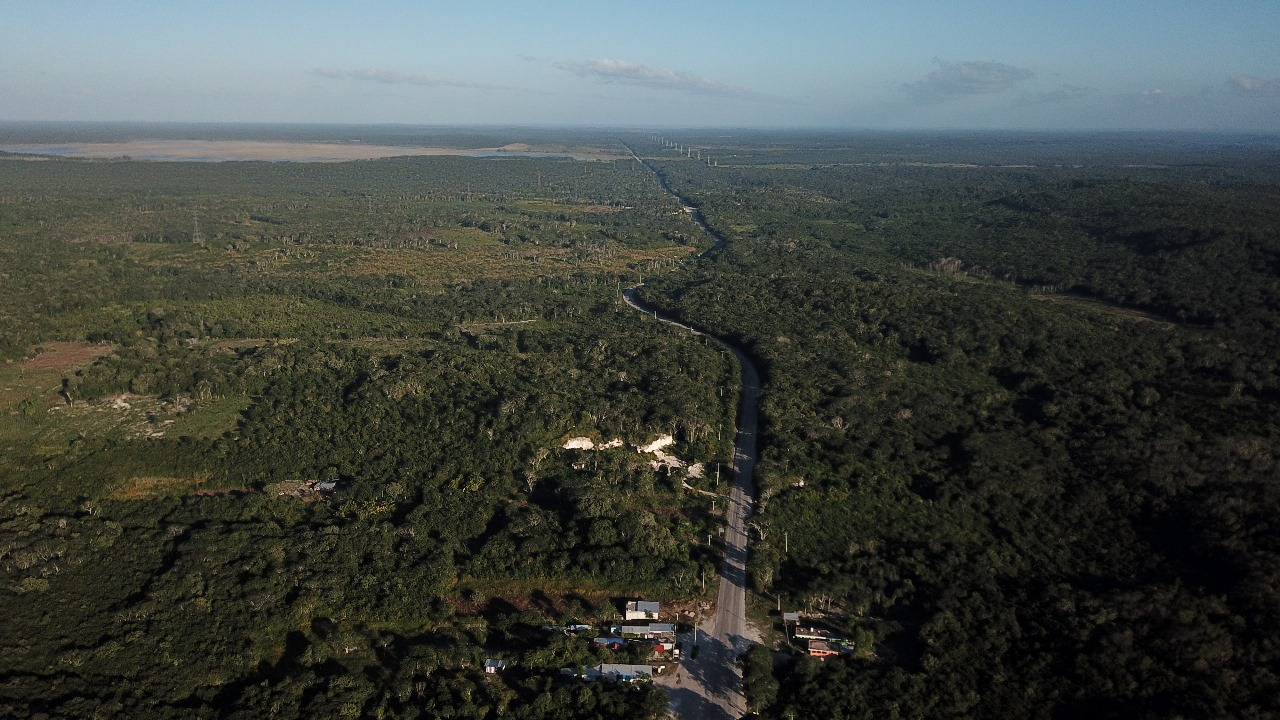 Parte de los terrenos expropiados en Quintana Roo Parte de los terrenos expropiados en Quintana Roo