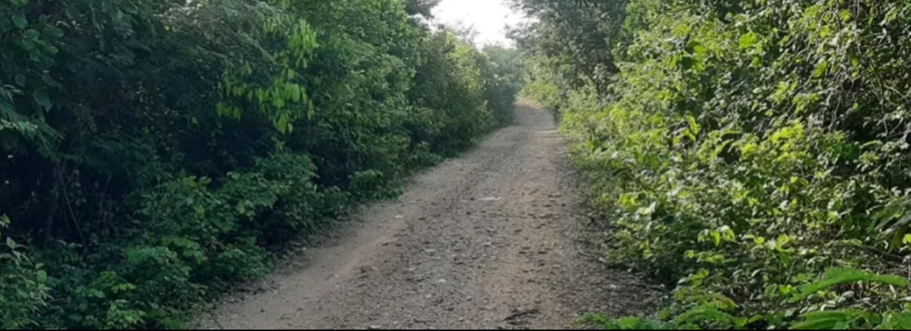 Ejidatarios de Héroes de Nacozari piden apoyo a AMLO tras 20 años clamando por carretera / Especial Ejidatarios de Héroes de Nacozari piden apoyo a AMLO tras 20 años clamando por carretera / Especial