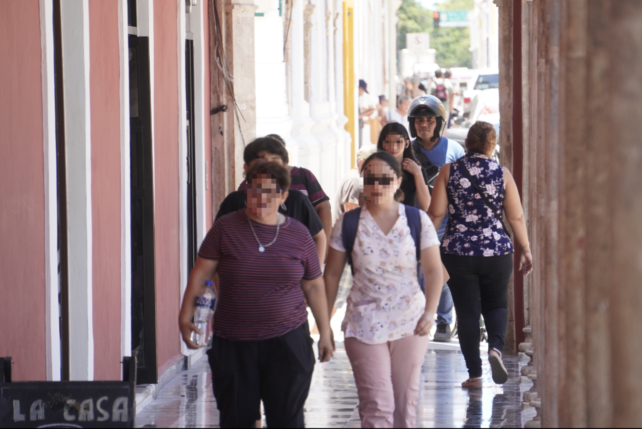 En la FGR piden a las campechanas estar atentas y evitar riesgos en su integridad. En la FGR piden a las campechanas estar atentas y evitar riesgos en su integridad.