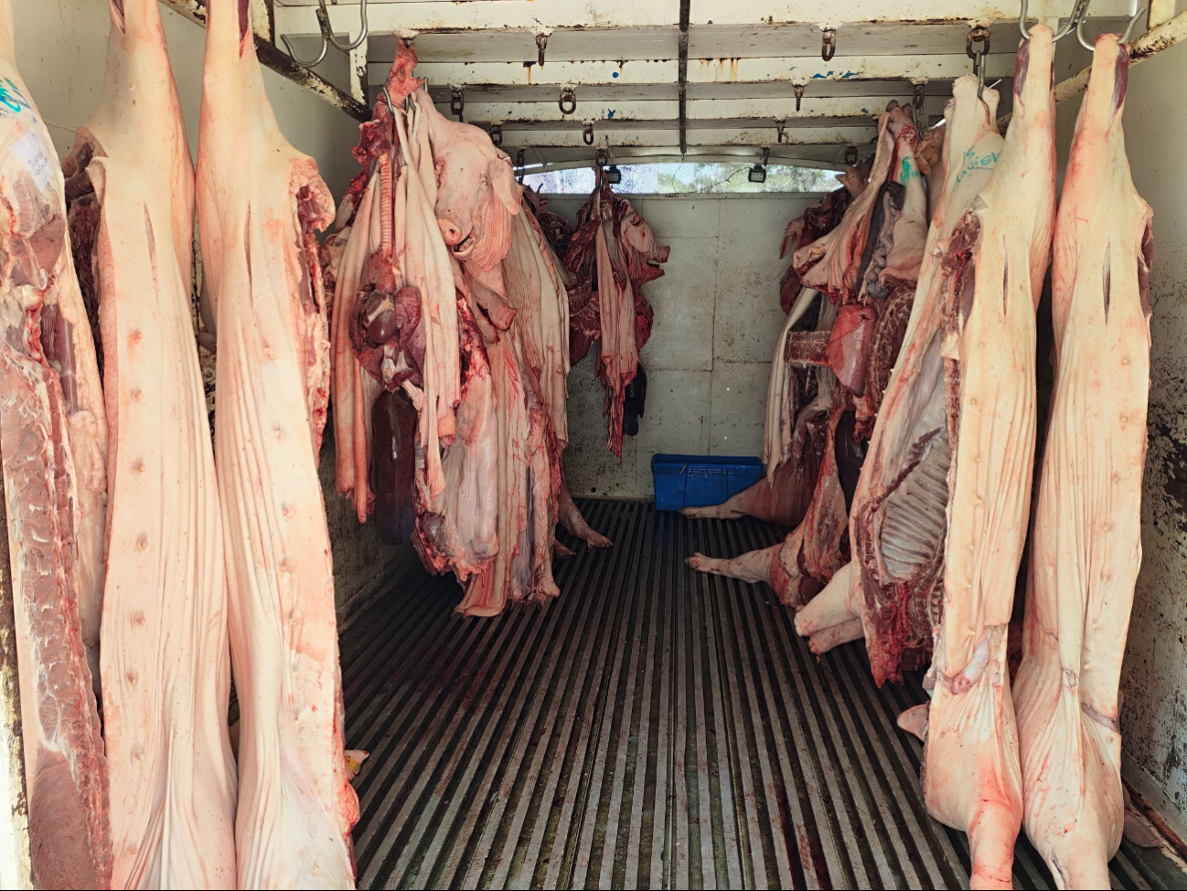 Por falta de mantenimiento, hace 20 días el AFA funciona al 30% de su capacidad de refrigeración Por falta de mantenimiento, hace 20 días el AFA funciona al 30% de su capacidad de refrigeración