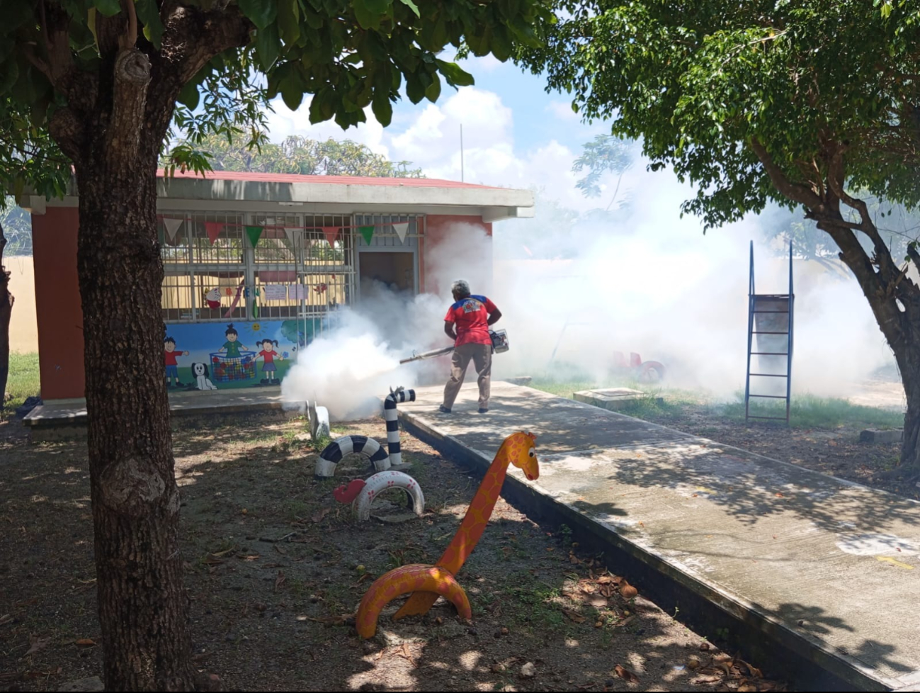 Carmen y Palizada con más casos de dengue Carmen y Palizada con más casos de dengue