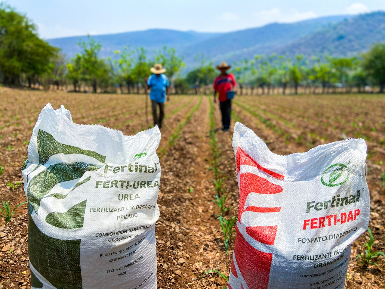 El programa "Fertilizantes para el Bienestar" ha apoyado a 28,226 personas. El programa "Fertilizantes para el Bienestar" ha apoyado a 28,226 personas.