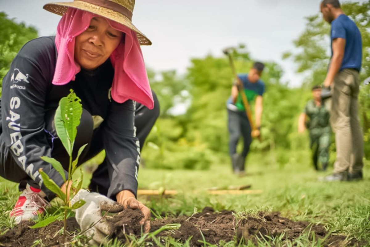 Los mayores beneficios han sido para el sector agrícola, con 65,637 productores beneficiados. Los mayores beneficios han sido para el sector agrícola, con 65,637 productores beneficiados.