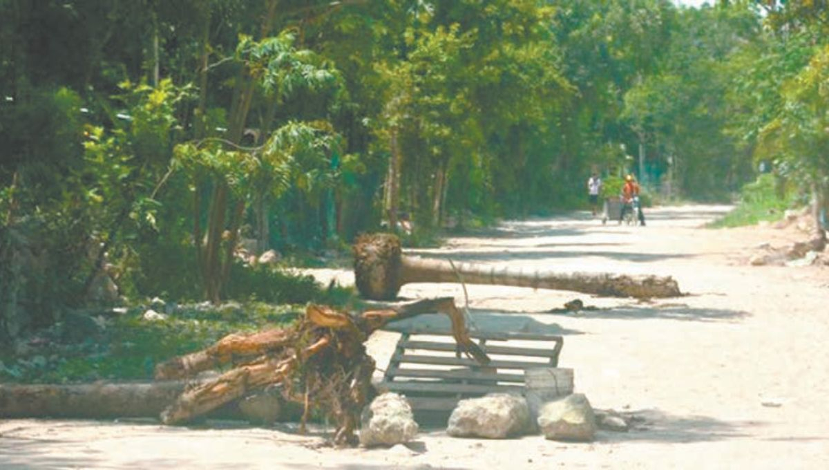 A lo largo de la Costa Maya hay alrededor de 25 asentamientos irregulares; los impulsores se han enriquecido gracias a la venta ilegal de los terrenos. A lo largo de la Costa Maya hay alrededor de 25 asentamientos irregulares; los impulsores se han enriquecido gracias a la venta ilegal de los terrenos.