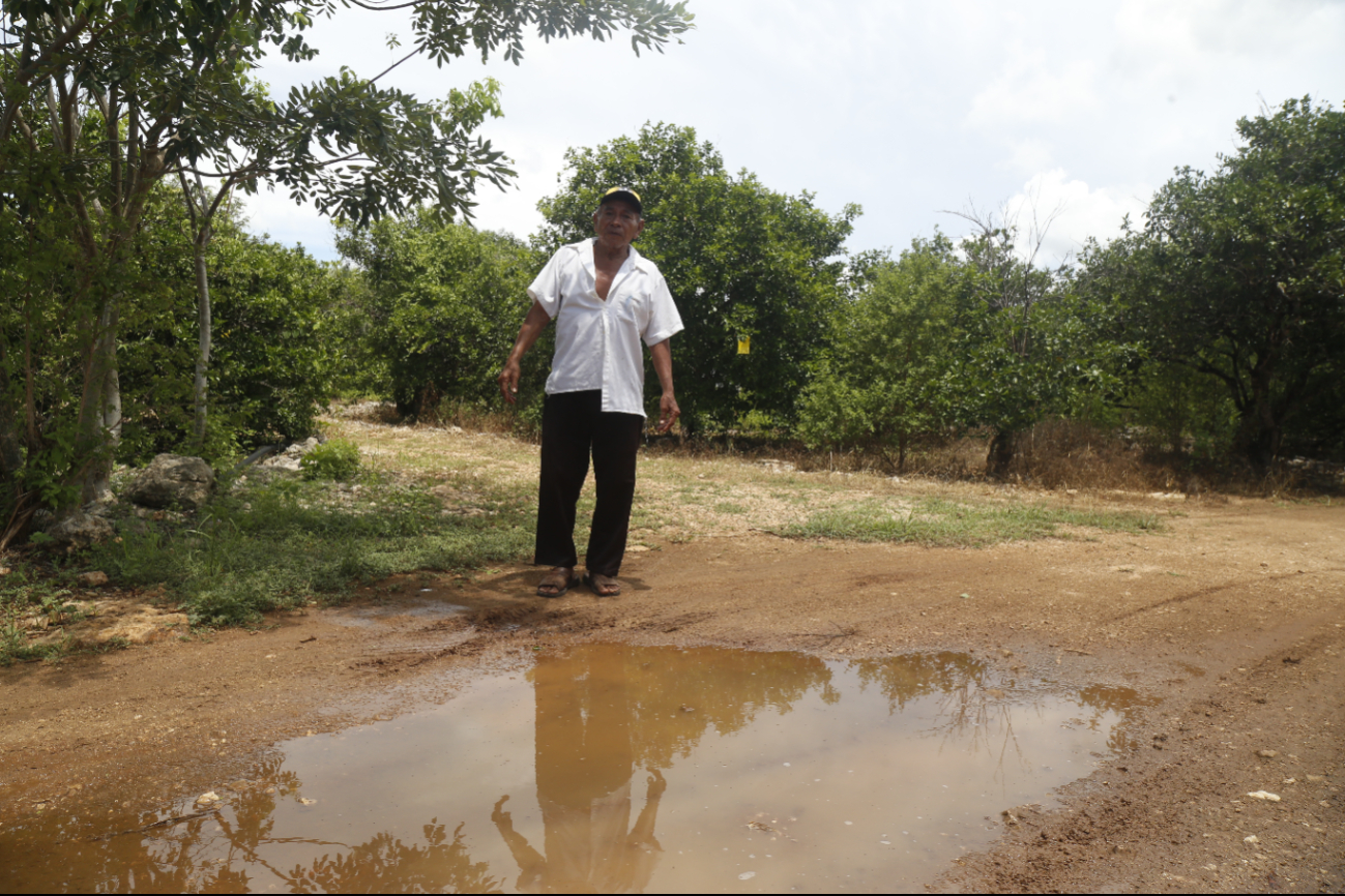 Algunos apicultores temen que baje la venta del producto de exportación Algunos apicultores temen que baje la venta del producto de exportación