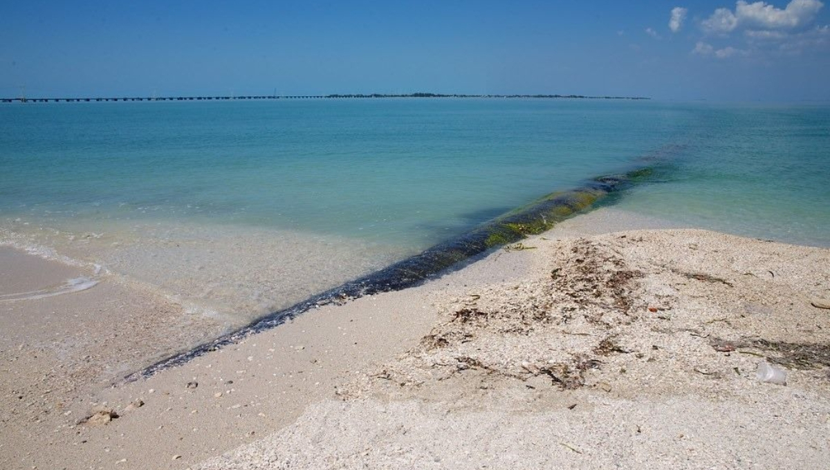 Se colocará tubería submarina en 3.8 km, para conectar a Isla Aguada con Carmen Se colocará tubería submarina en 3.8 km, para conectar a Isla Aguada con Carmen