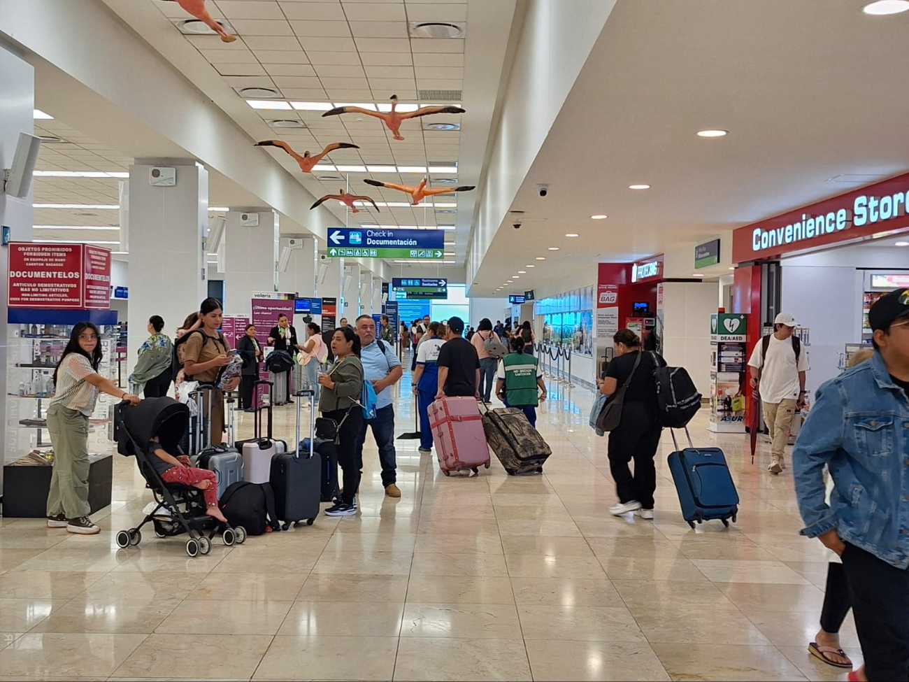 Se mantiene la buena afluencia de pasajeros en el aeropuerto de Mérida Se mantiene la buena afluencia de pasajeros en el aeropuerto de Mérida