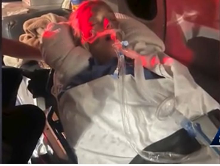 Ambas se encontraron en mal estado de salud Ambas se encontraron en mal estado de salud