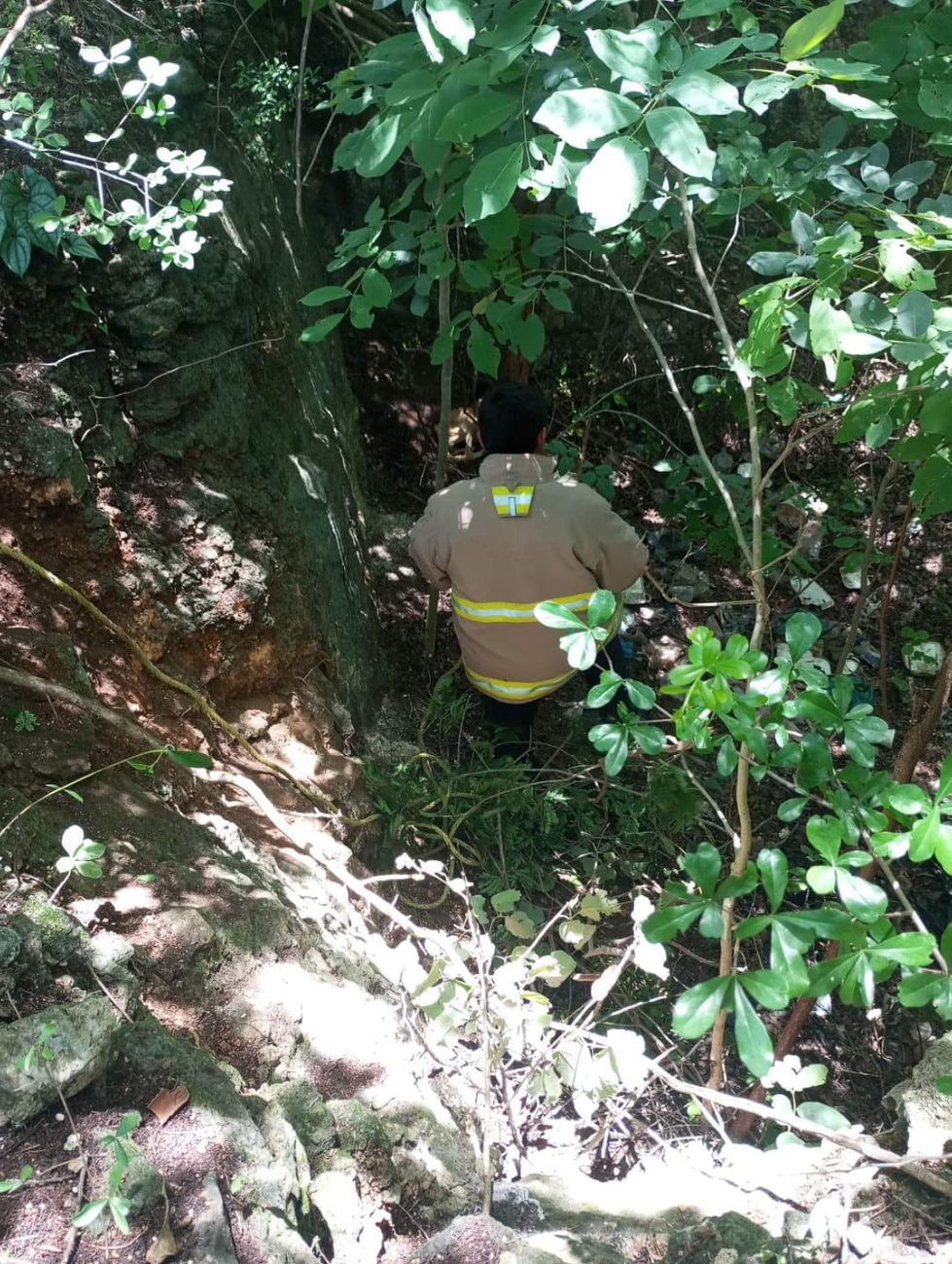 Bomberos de Campeche rescatan a perro atrapado en un pozo - PorEsto
