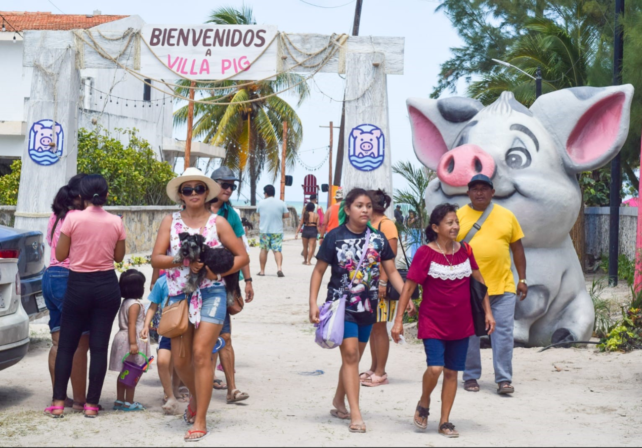 Pig Beach se ha convertido en uno de los favoritos para las familias yucatecas. Pig Beach se ha convertido en uno de los favoritos para las familias yucatecas.