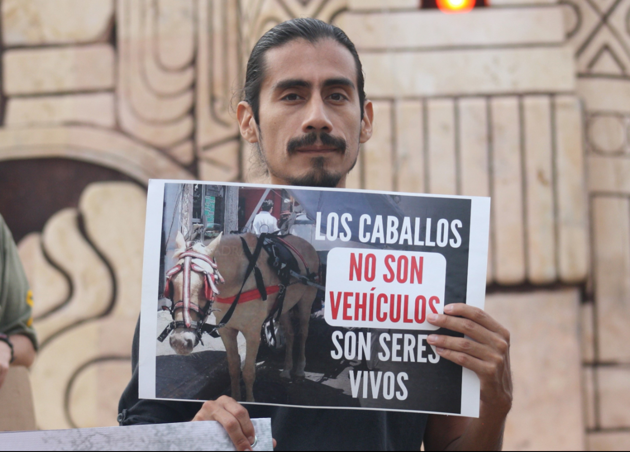 Este sábado a las 17:00 horas se hará un marcha en la Plaza Grande de Mérida Este sábado a las 17:00 horas se hará un marcha en la Plaza Grande de Mérida
