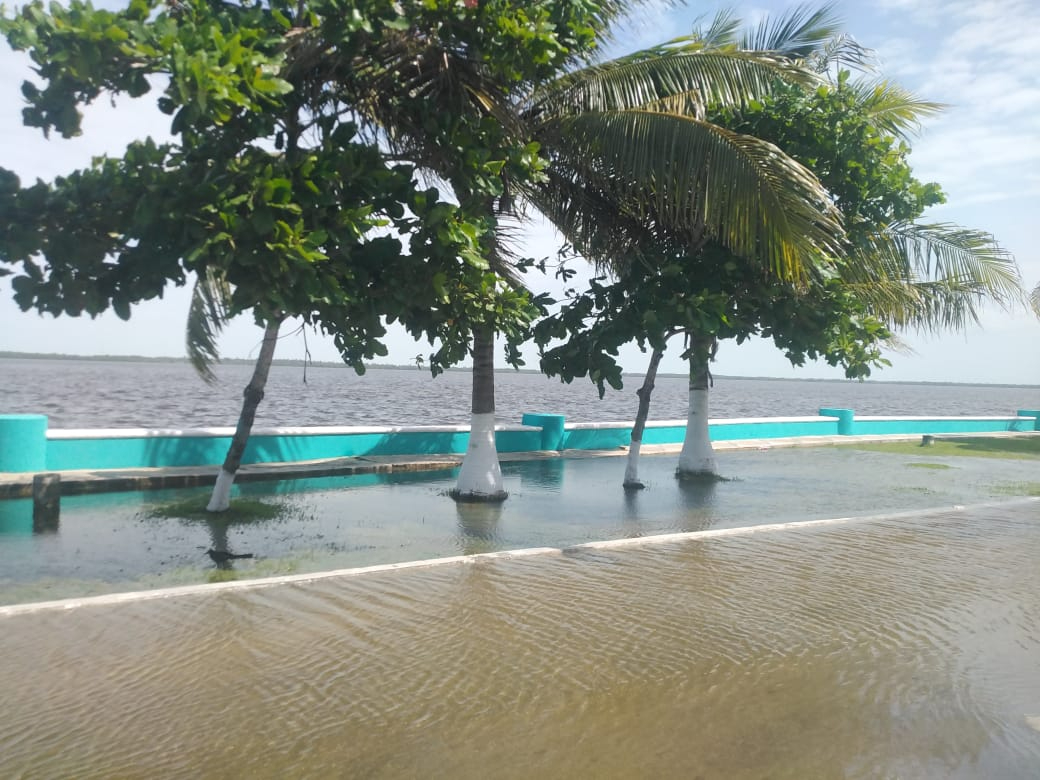 El nivel del agua del Estero de Sabancuy subió debido a la tormenta tropical "Francine" en el Golfo de México.