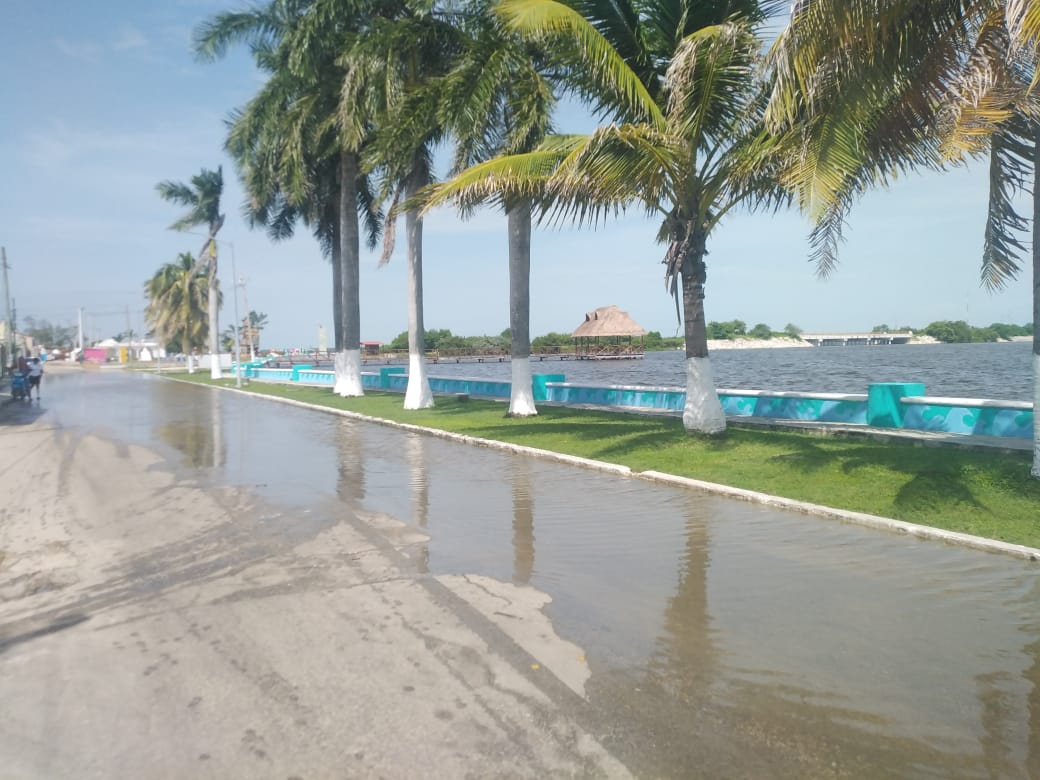 No hay colonias inundadas y se han tomado medidas preventivas como podar árboles y limpiar drenajes No hay colonias inundadas y se han tomado medidas preventivas como podar árboles y limpiar drenajes