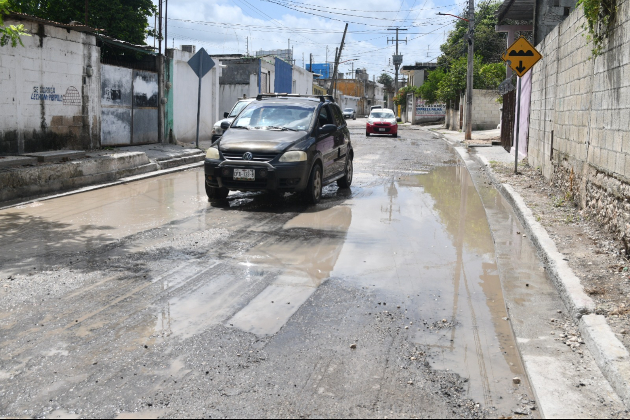 Lluvias generan verdín en los baches Lluvias generan verdín en los baches