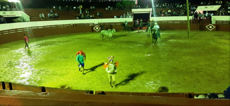 Exigen modificar la Ley de Bienestar Animal por corridas de toros en  Lázaro Cárdenas
