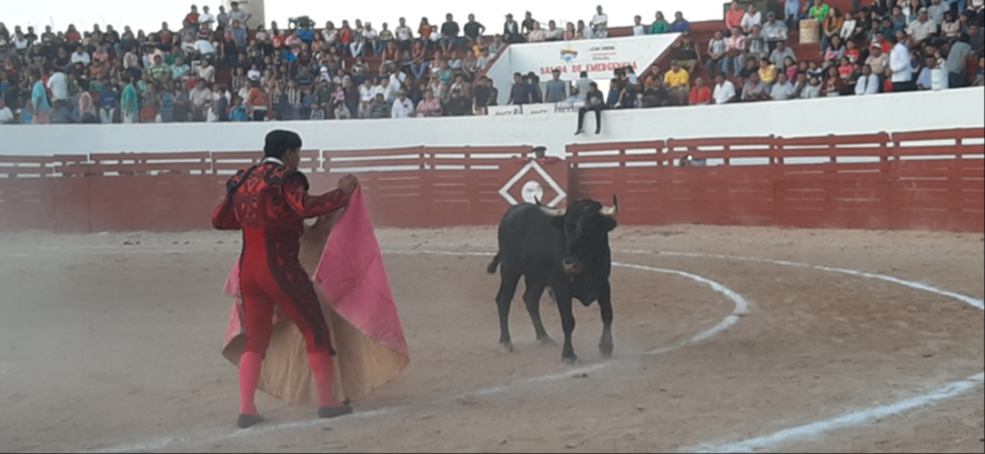 Los organizadores pueden hacer faenas, pero sin sacrificar al animal Los organizadores pueden hacer faenas, pero sin sacrificar al animal