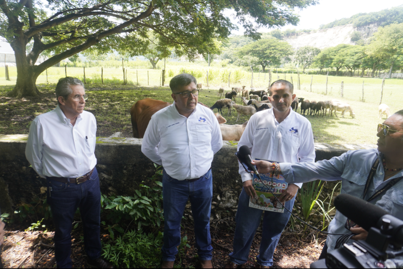 Problemas del sector ganadero Problemas del sector ganadero