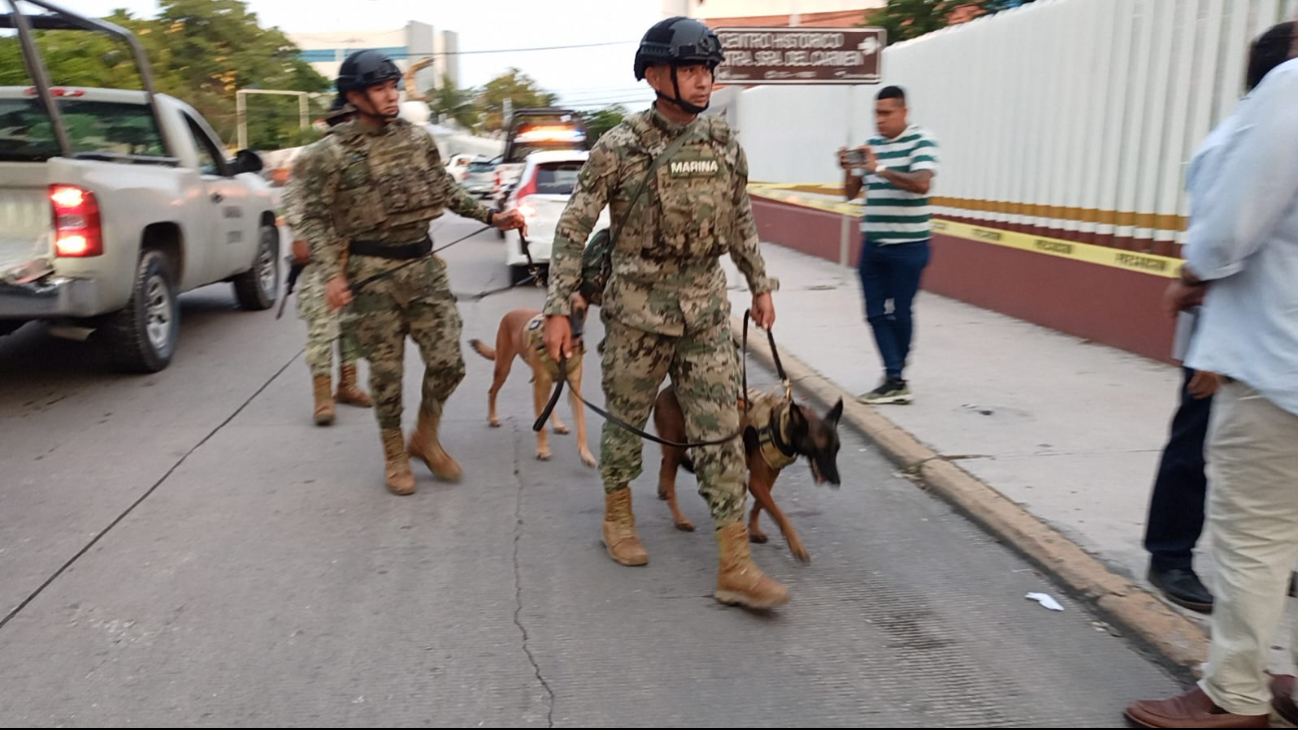Elementos de la Marina y el Ejército Mexicano, junto con equipos caninos, inspeccionaron la mochila Elementos de la Marina y el Ejército Mexicano, junto con equipos caninos, inspeccionaron la mochila