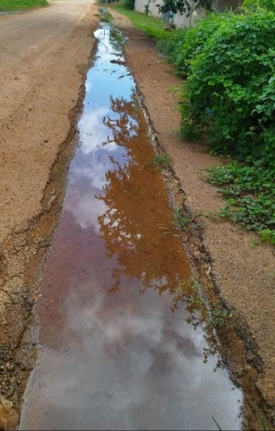 Vecinos de la colonia Doctores, pedin a las autoridades reparan la fuga que tienen hace meses Vecinos de la colonia Doctores, pedin a las autoridades reparan la fuga que tienen hace meses