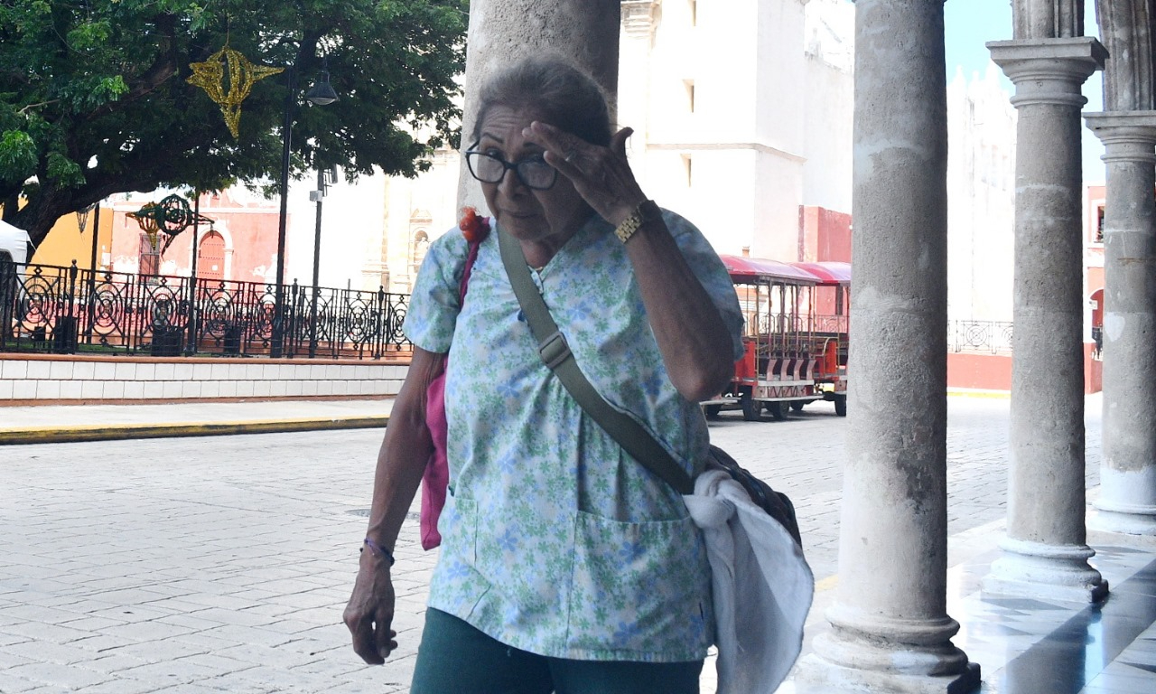 Durante los sexenios de Calderón y Peña Nieto, la pensión tuvo incrementos mínimos Durante los sexenios de Calderón y Peña Nieto, la pensión tuvo incrementos mínimos