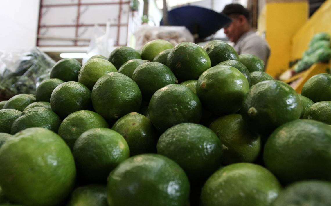 Producción de limones en Michoacán Producción de limones en Michoacán