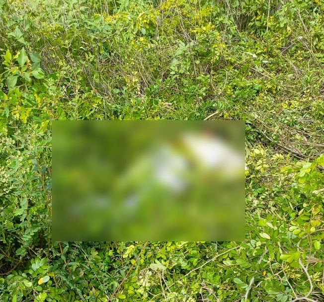 El motociclista quedó tendido entre la maleza a un costado de la carretera El motociclista quedó tendido entre la maleza a un costado de la carretera