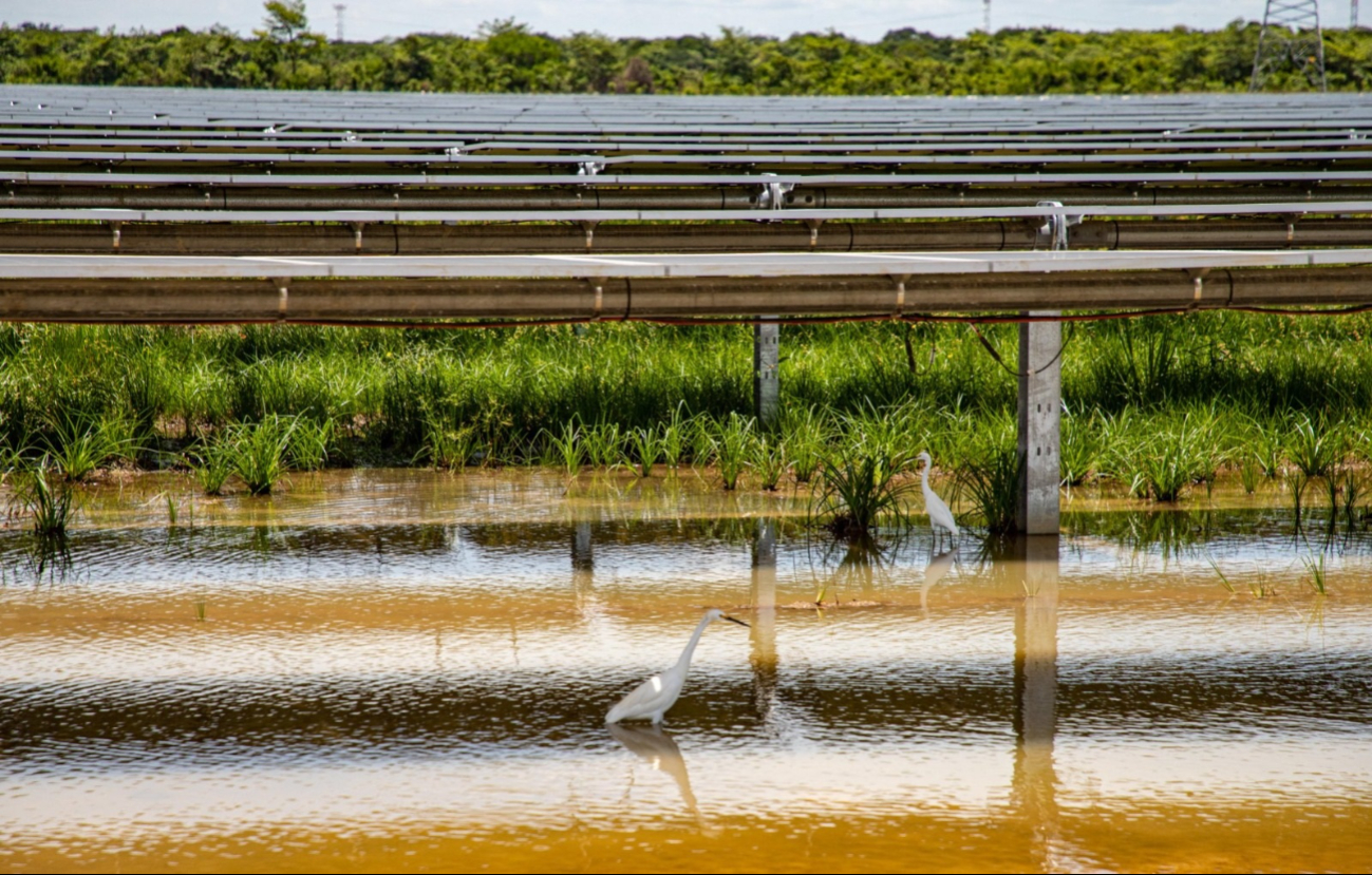 Tras su puesta en marcha representa la no emisión de más de 494 mil toneladas de CO2 anuales. Tras su puesta en marcha representa la no emisión de más de 494 mil toneladas de CO2 anuales.