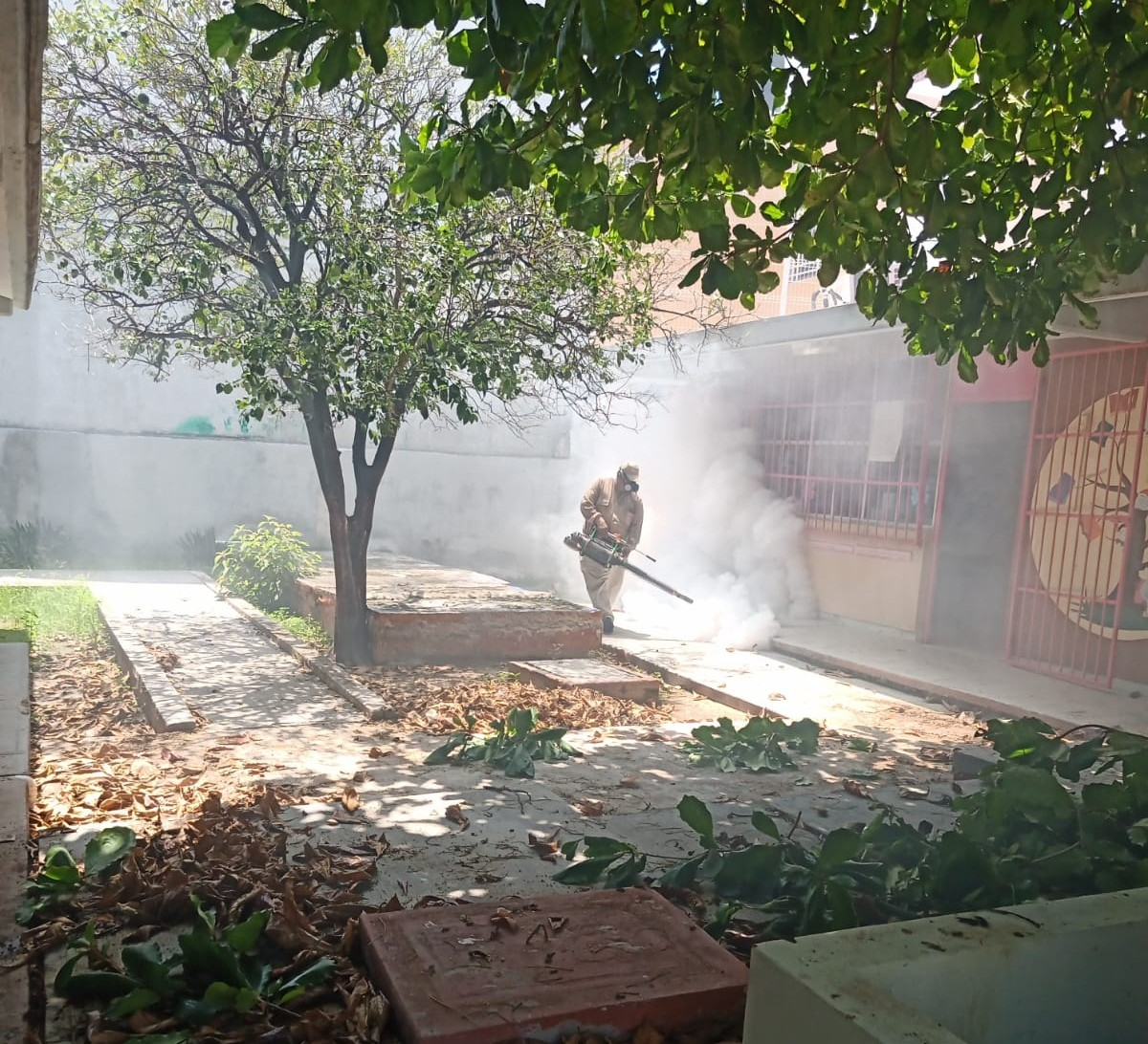 Campeche ha registrado 564 casos confirmados de dengue y tres defunciones, un aumento significativo respecto al año pasado Campeche ha registrado 564 casos confirmados de dengue y tres defunciones, un aumento significativo respecto al año pasado