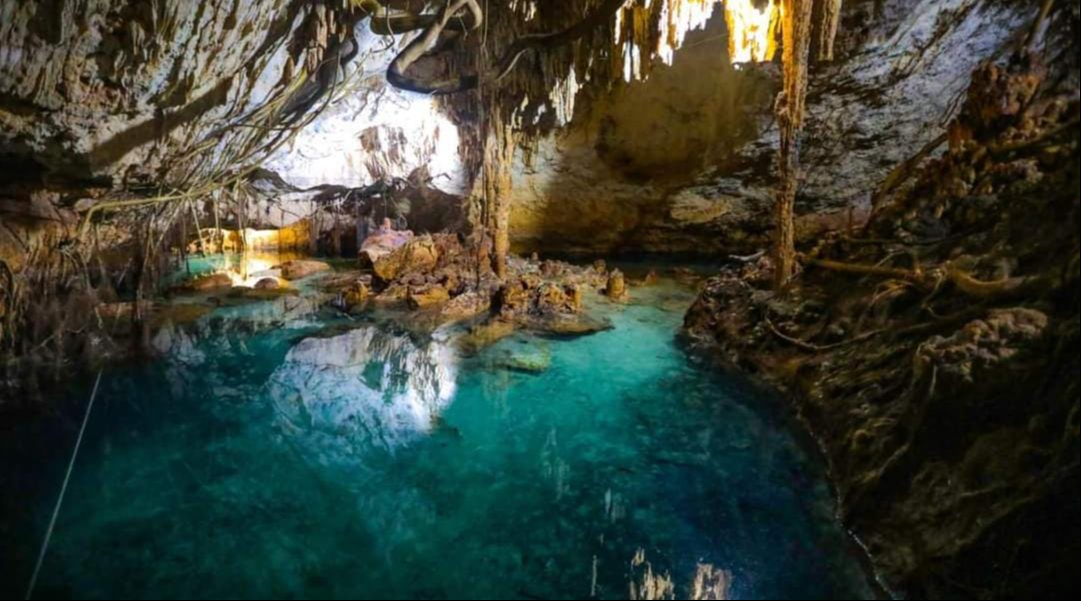 Los cenotes han sido contaminados por arrojar basura al agua Los cenotes han sido contaminados por arrojar basura al agua