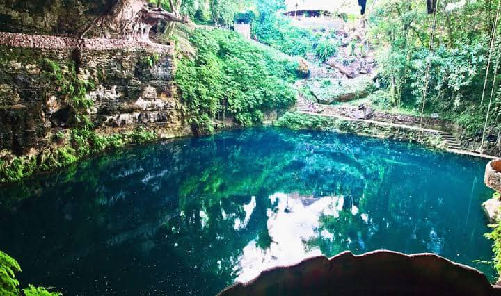 Cenote San Vicente Cumpich, ofrece un refugio natural para diversas especies de flora y fauna / Especial Cenote San Vicente Cumpich, ofrece un refugio natural para diversas especies de flora y fauna / Especial