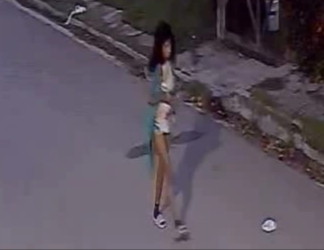 Video graban a mujer cuando robaba en una vivienda. Video graban a mujer cuando robaba en una vivienda.