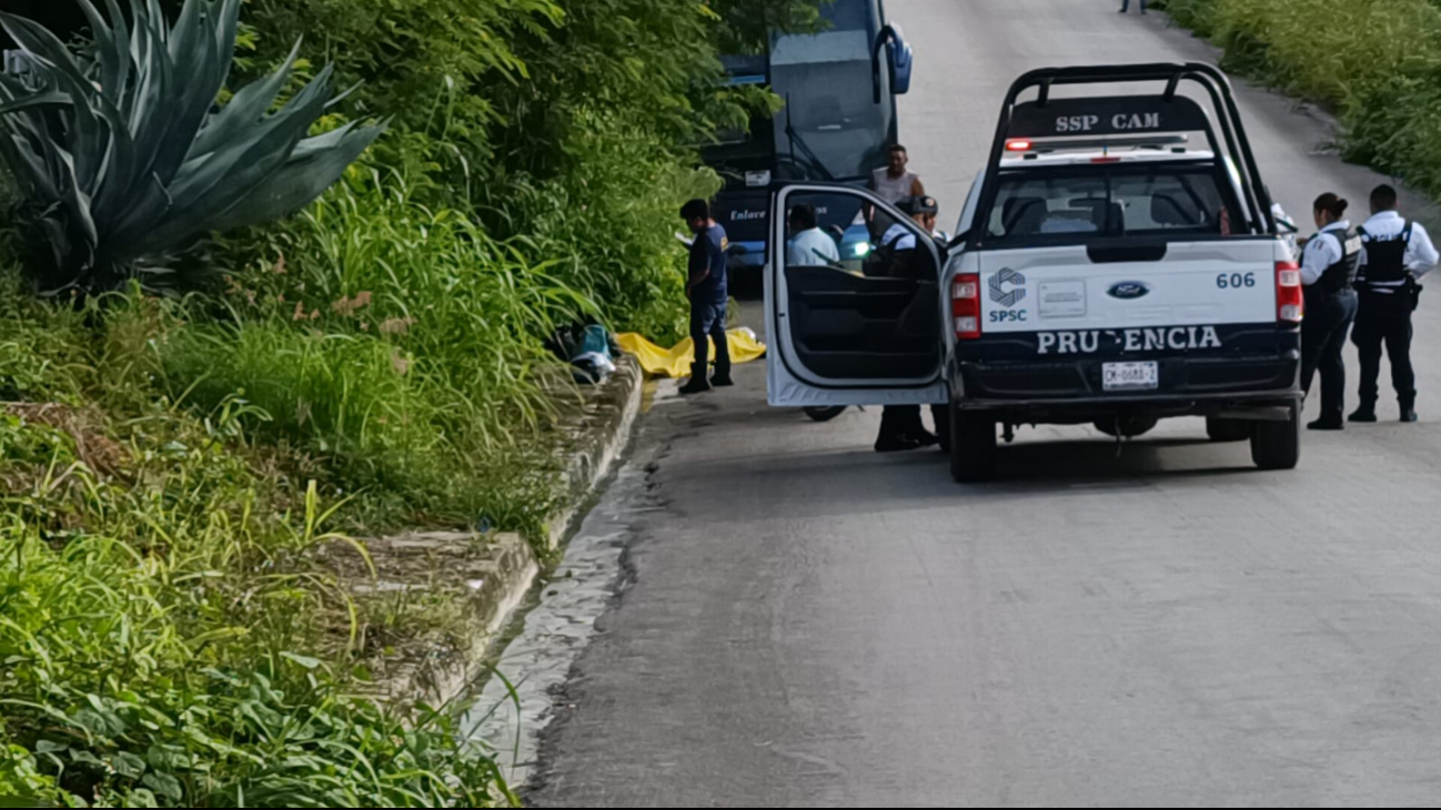 Trágico, muere mujer atropellada por un camión de turismo en Campeche  
