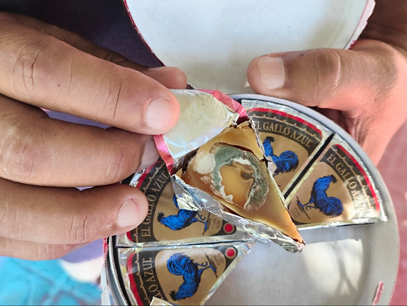 Queso para vender le salió podrido