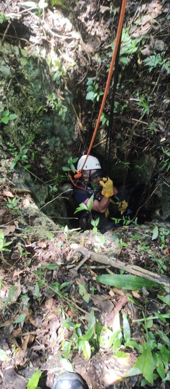 Con equipo de protección , el Cuerpo de Bomberos lograron rescatar a Fiona Con equipo de protección , el Cuerpo de Bomberos lograron rescatar a Fiona