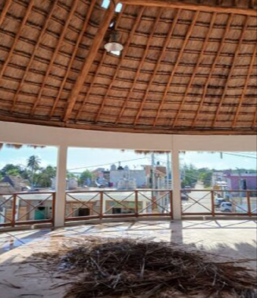 Debido al material de la palapa, el incendio comenzó muy rápido Debido al material de la palapa, el incendio comenzó muy rápido