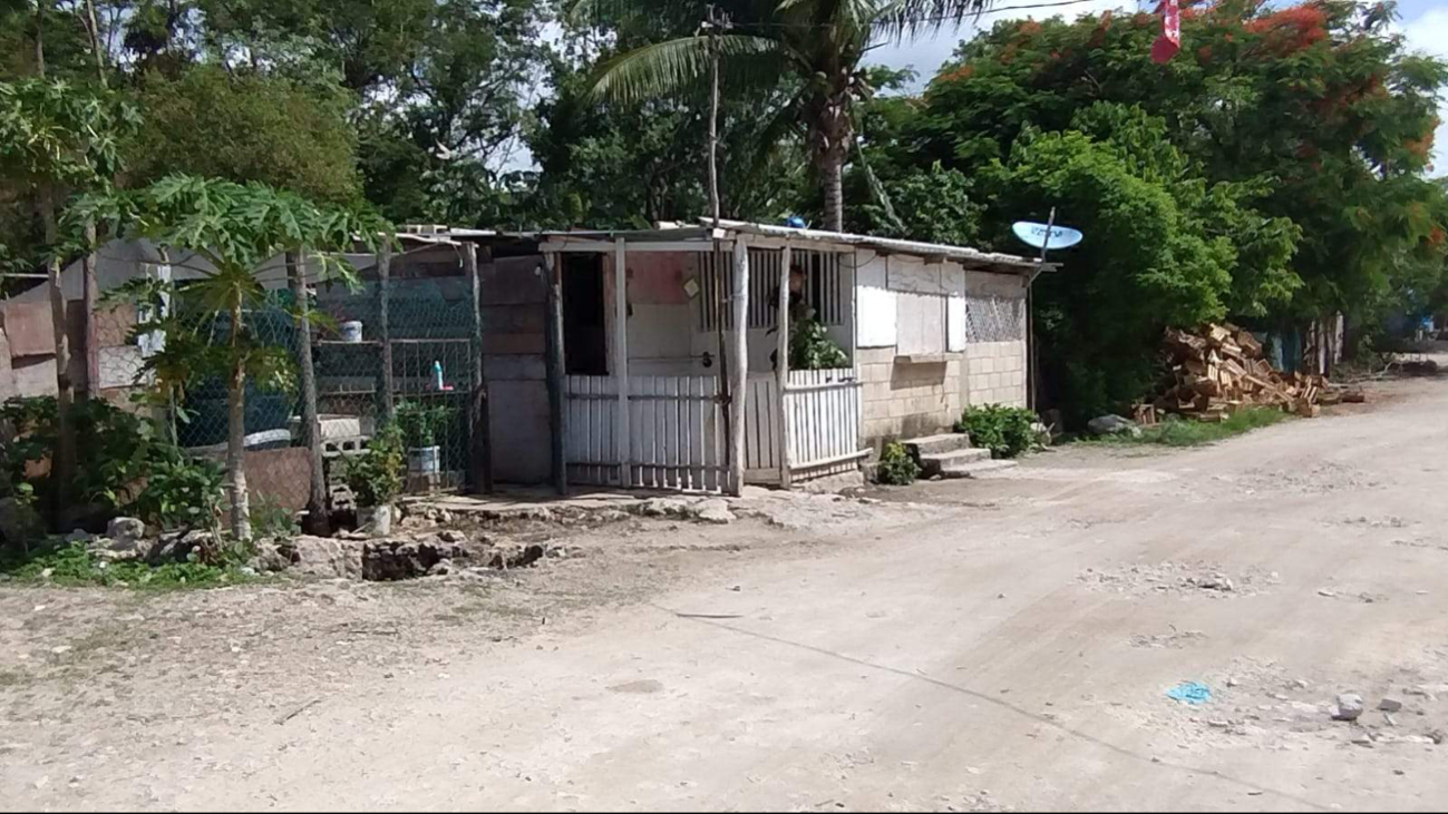 El trabajo se está realizando por colonias, para incluir a toda la ciudad en el programa El trabajo se está realizando por colonias, para incluir a toda la ciudad en el programa